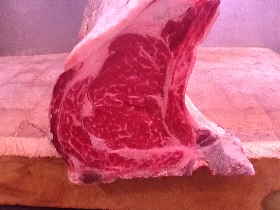 MackenBros tweet media