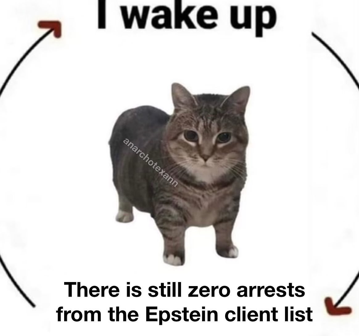 Anarcho Texan 🏴 (@comedybert) on Twitter photo 