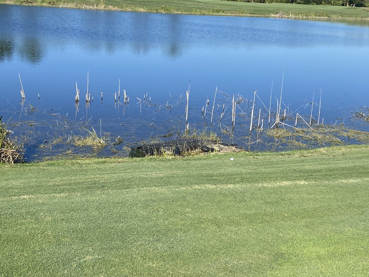 ScottGosselin's tweet photo. #mbma golf outing  - who dares? old corkscrew https://t.co/bnRSQlxHs9