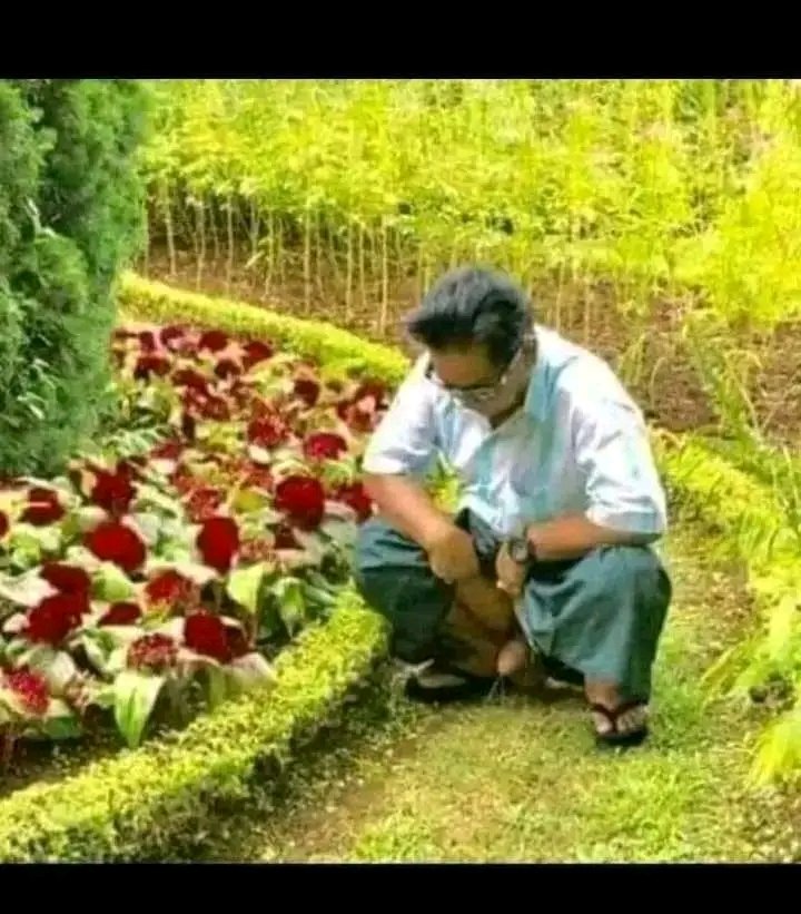 বয়স্ক টপ চাই tweet media