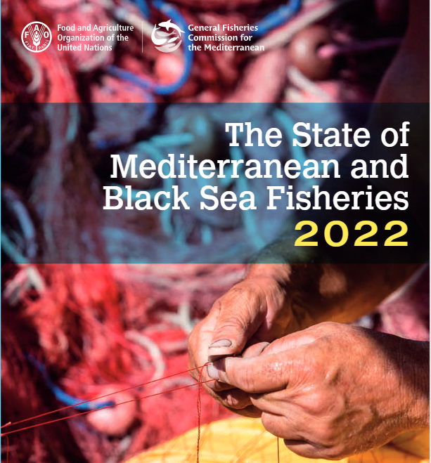 #SOMFI2022 is a collective effort based on the work of ➕500 #scientists and #experts who make it the definitive reference source on #fisheries in the #Med & #BlackSea🌊 🟢Tune in #tomorrow for the launch of the publication❗️ fao.org/gfcm/meetings/…