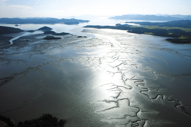 Stonefishweirs's tweet photo. #SouthKorea “fields of the sea” #Getbol are areas of wide muddy intertitle flats which are found in west #SouthKorea coastline. For generations the inhabitants of this coastline have fished, gathered shellfish & aquatic plants from this environment.1/5
@AsiaUch @DecadeHeritage https://t.co/IIfimyciv9