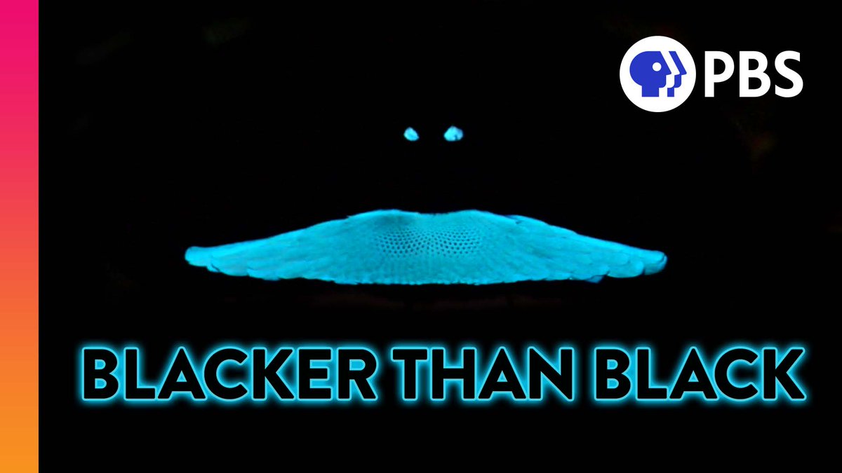 okaytobesmart's tweet photo. NEW VIDEO! In search of the blackest thing on Earth https://t.co/vLtUGEF5Pn https://t.co/JrH8eNy8yS