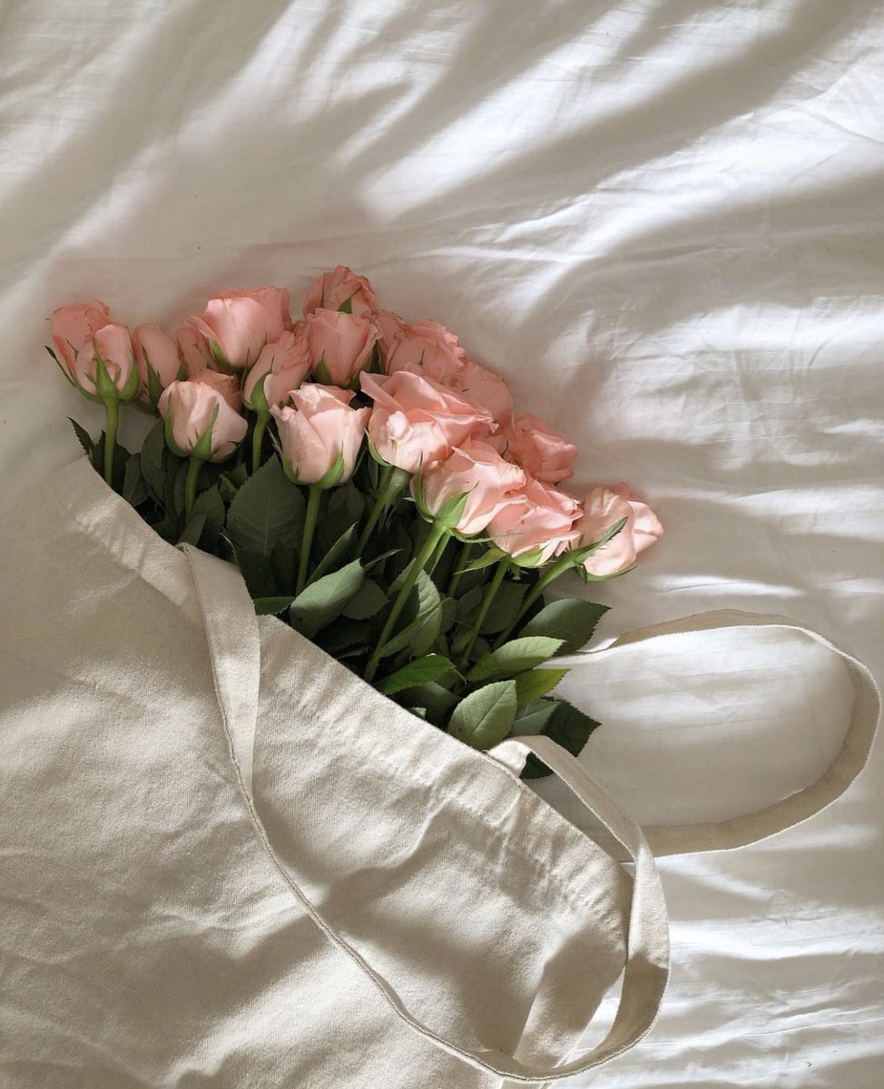 étoile (@llncai) on Twitter photo 