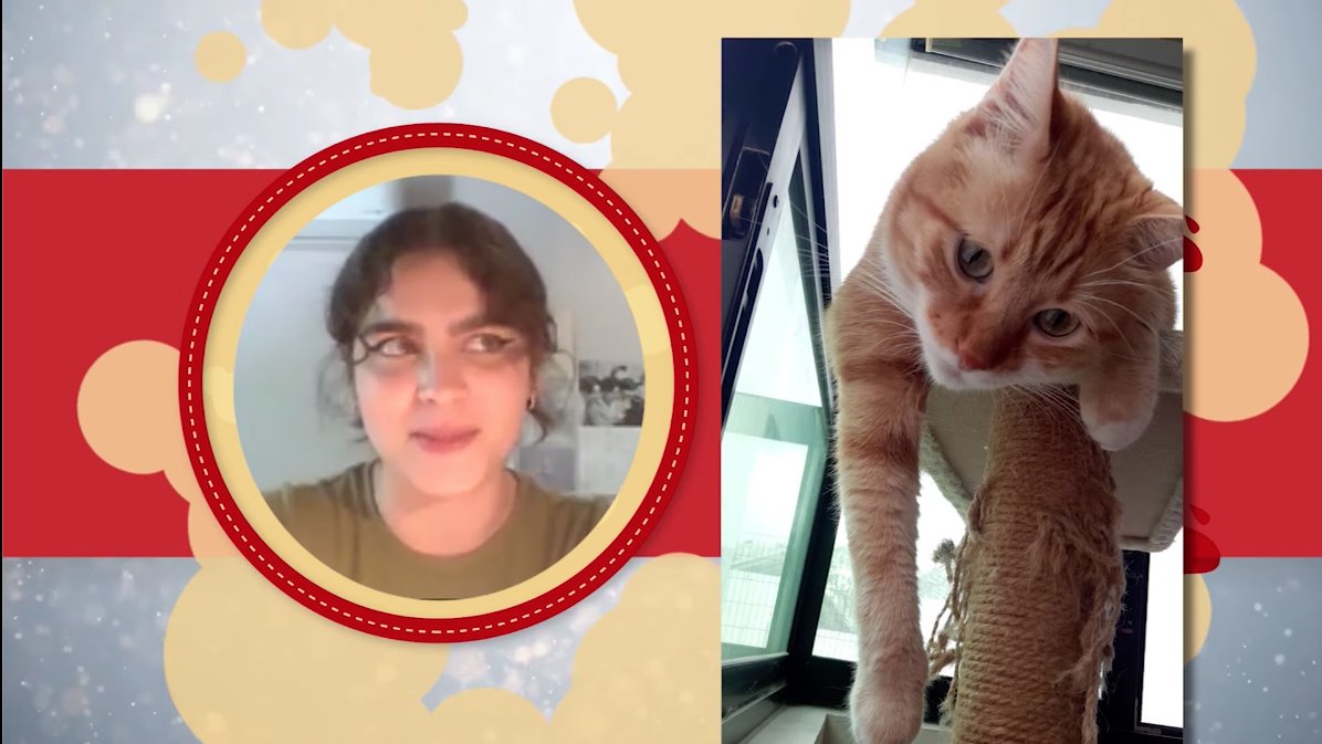 cuaedunam's tweet photo. ¿Te perdiste #QuehacerVirtual? Revive aquí el especial de mascotas. Desde la experiencia s¡de docentes y estudiantes te cuentan de sus grandes amigos. 🐶🐱🐾

https://t.co/L3l1SNGmkI https://t.co/BV8ryv7NmP