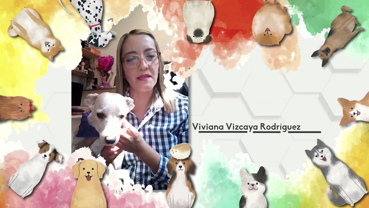 cuaedunam's tweet photo. ¿Te perdiste #QuehacerVirtual? Revive aquí el especial de mascotas. Desde la experiencia s¡de docentes y estudiantes te cuentan de sus grandes amigos. 🐶🐱🐾

https://t.co/L3l1SNGmkI https://t.co/BV8ryv7NmP