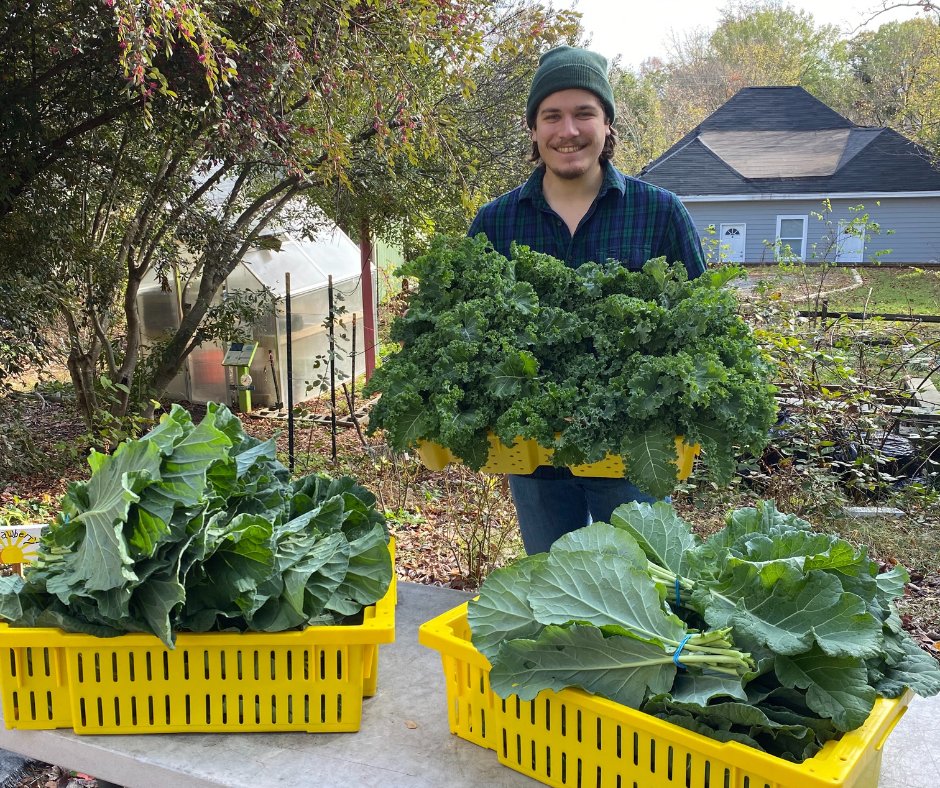FoodShuttle's tweet photo. Our #FoodShuttle family harvested some wonderful produce for the food pantry at Emanuel Tabernacle Holiness Church. A #HungerFreeCommunity is a beautiful thing! Pastor Harper says the families really appreciate the quality of this food grown so close at Geer St. Learning Garden💚 https://t.co/NDgyyKM6x6