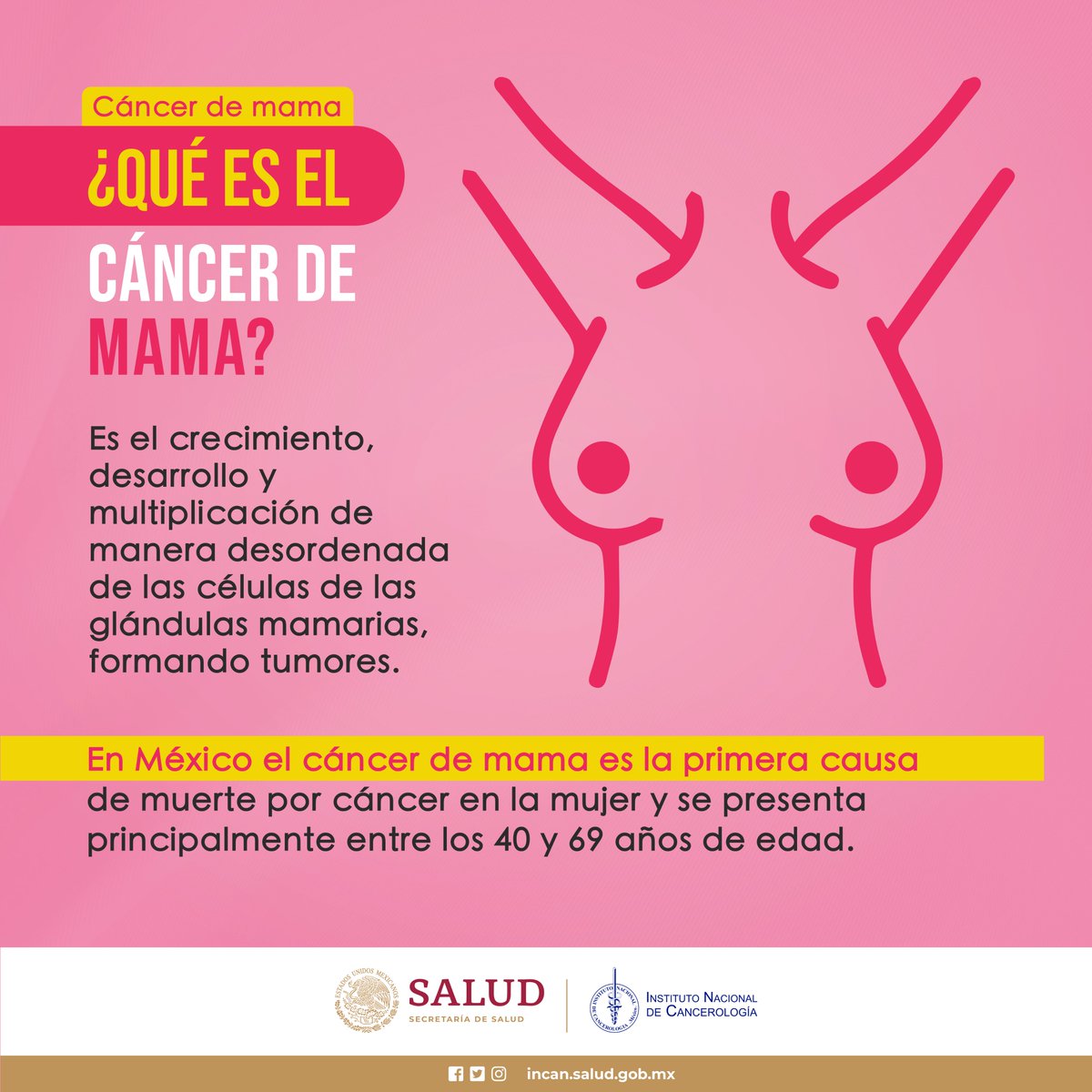 incanMX's tweet image. En México, el #CánceDeMama es la primera causa de muerte por cáncer en la mujer, presentándose principalmente entre los 40 y 69 años de edad.