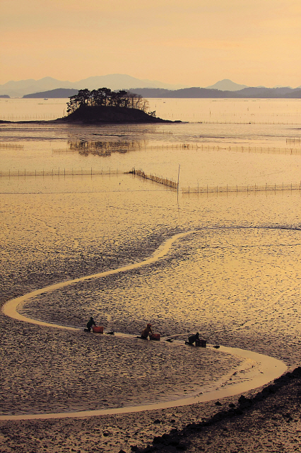 Stonefishweirs's tweet photo. #SouthKorea “fields of the sea” #Getbol are areas of wide muddy intertitle flats which are found in west #SouthKorea coastline. For generations the inhabitants of this coastline have fished, gathered shellfish & aquatic plants from this environment.1/5
@AsiaUch @DecadeHeritage https://t.co/IIfimyciv9