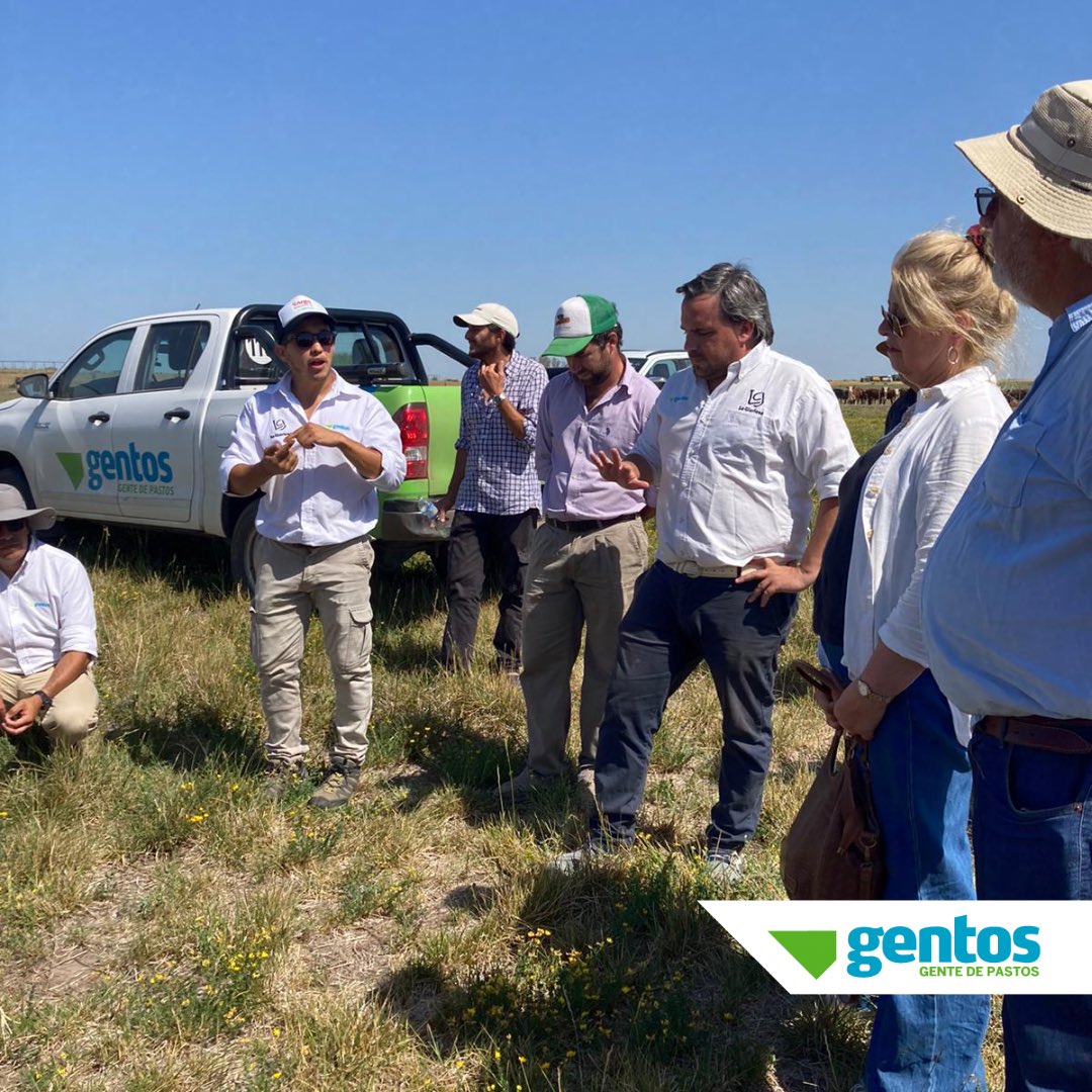 Gentos Argentina tweet media