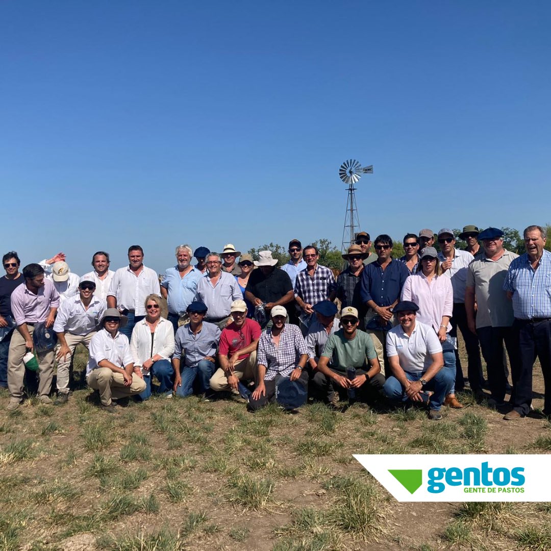 Gentos Argentina tweet media