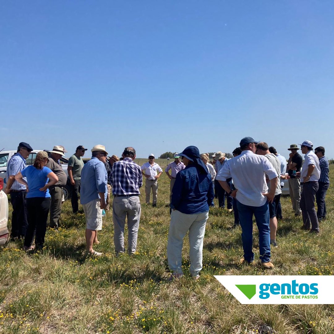 Gentos Argentina tweet media