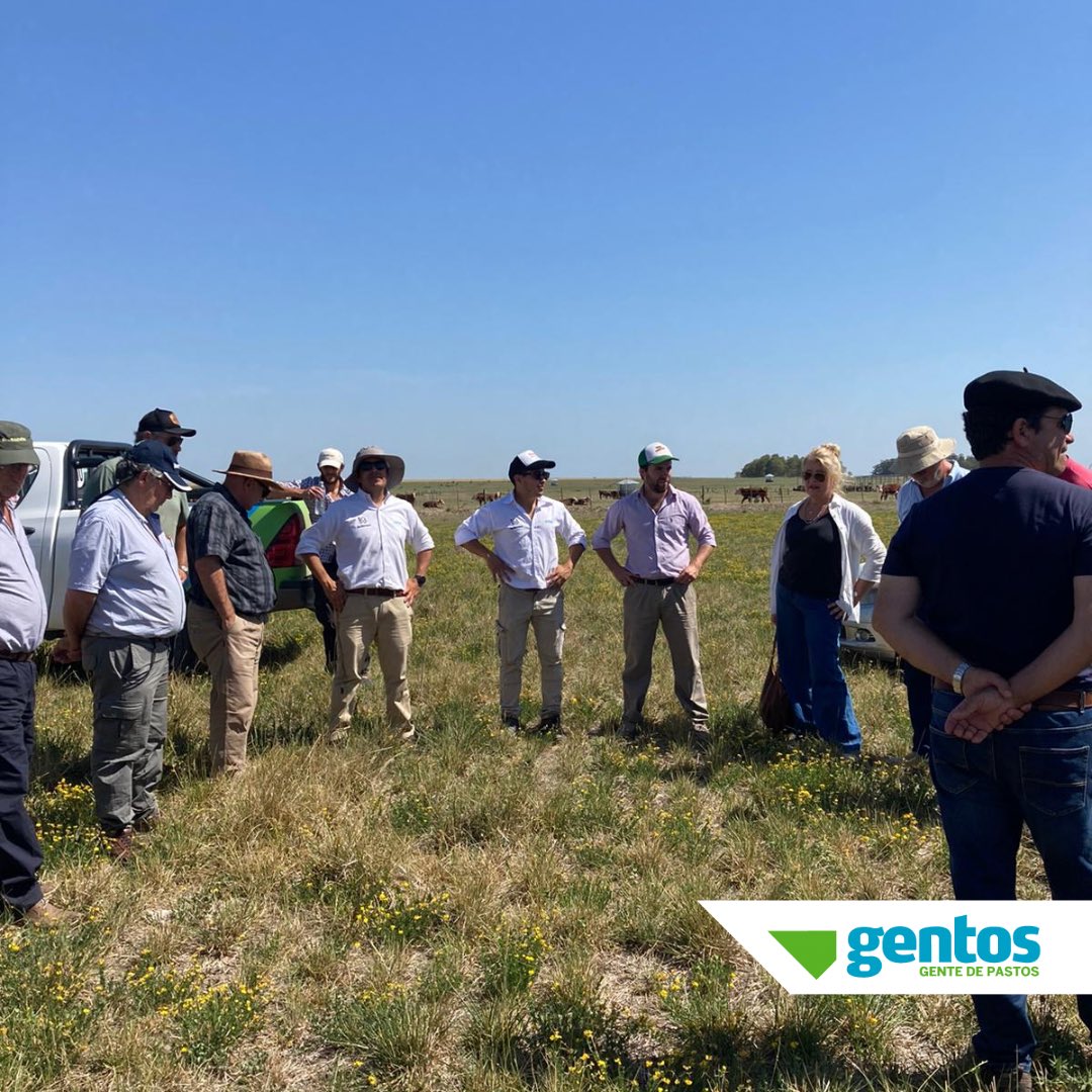 Gentos Argentina tweet media