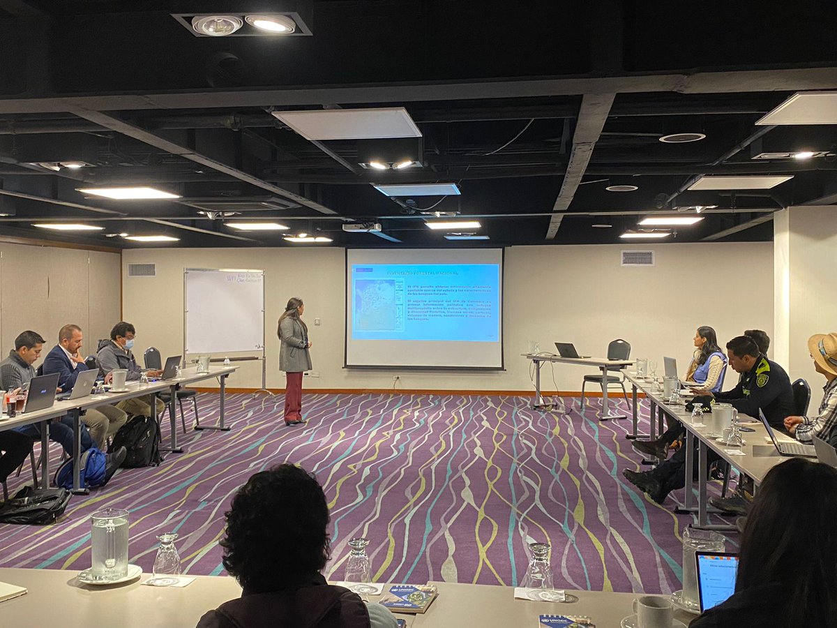 IDEAMColombia's tweet photo. #IdeamInternacional | Con el apoyo de UNODC y del gobierno de Reino Unido, comenzamos taller de fortalecimiento de capacidades para el uso efectivo de la información de monitoreo para el control de deforestación, con nuestra subdirectora de Ecosistemas, Ana Celia Salinas. https://t.co/Dc7xrd5LQO