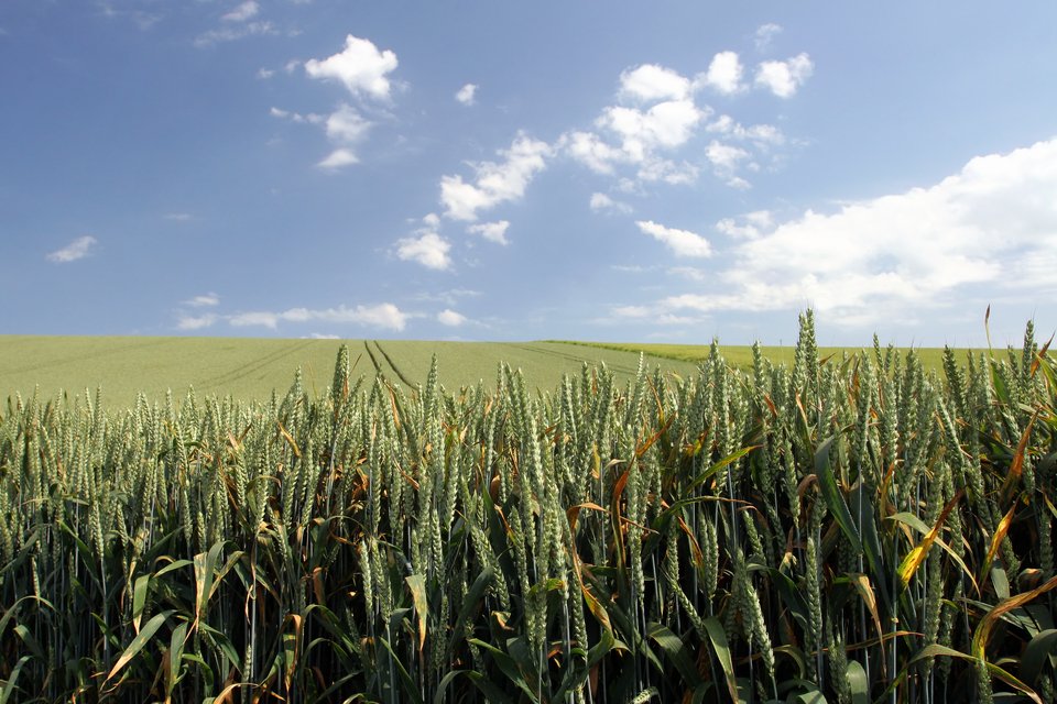 Ruralpay's tweet photo. RPA can confirm that 95.3% of farmers have already received full payments in the first few days of the payment window. This means that £872m has been released into the rural economy. Read more here: 
https://t.co/2d4C5weL7Q https://t.co/EXH8253v10