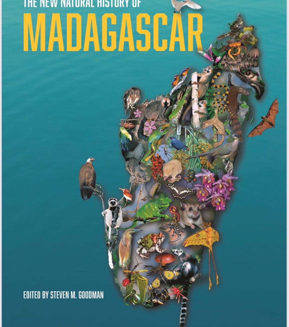 Alma Solis (@alma_solis_) on Twitter photo The New Natural History Of Madagascar textbook is officially out!! It was a great experience being a contributing author for the #OneHealth chapter and working alongside <a href="/CharlesNunn3/">Charles Nunn</a> <a href="/randall_kramer/">Randy Kramer</a> <a href="/SarobidyRakoto/">Sarobidy Rakotonarivo</a> and @chrisgolden05 The New Natural History Of Madagascar textbook is officially out!! It was a great experience being a contributing author for the #OneHealth chapter and working alongside <a href="/CharlesNunn3/">Charles Nunn</a> <a href="/randall_kramer/">Randy Kramer</a> <a href="/SarobidyRakoto/">Sarobidy Rakotonarivo</a> and @chrisgolden05