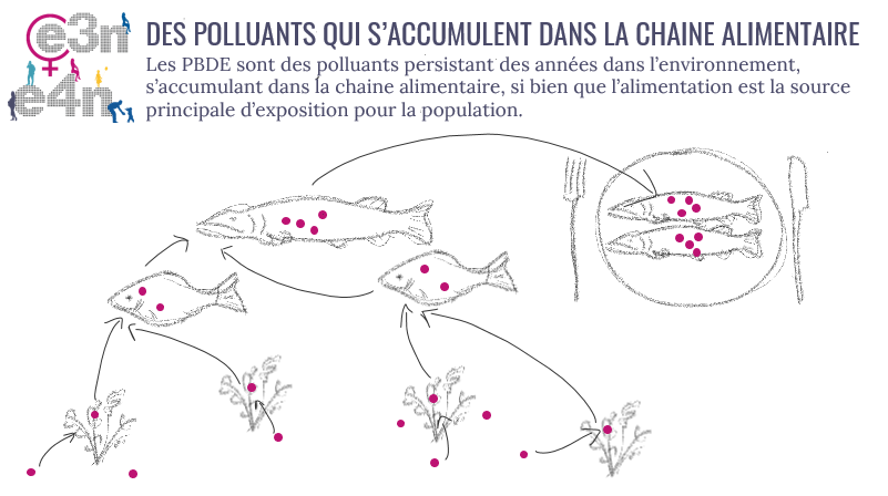 EtudeE4N's tweet photo. Légère association entre la présence dans l’ #alimentation de #polluants les #PBDE et le risque de cancer du sein.
De + en + de travaux sur les contaminants alimentaires dans la cohorte #E3N.
👉https://t.co/LiF5VFFLpH https://t.co/PGcyHwK7FO