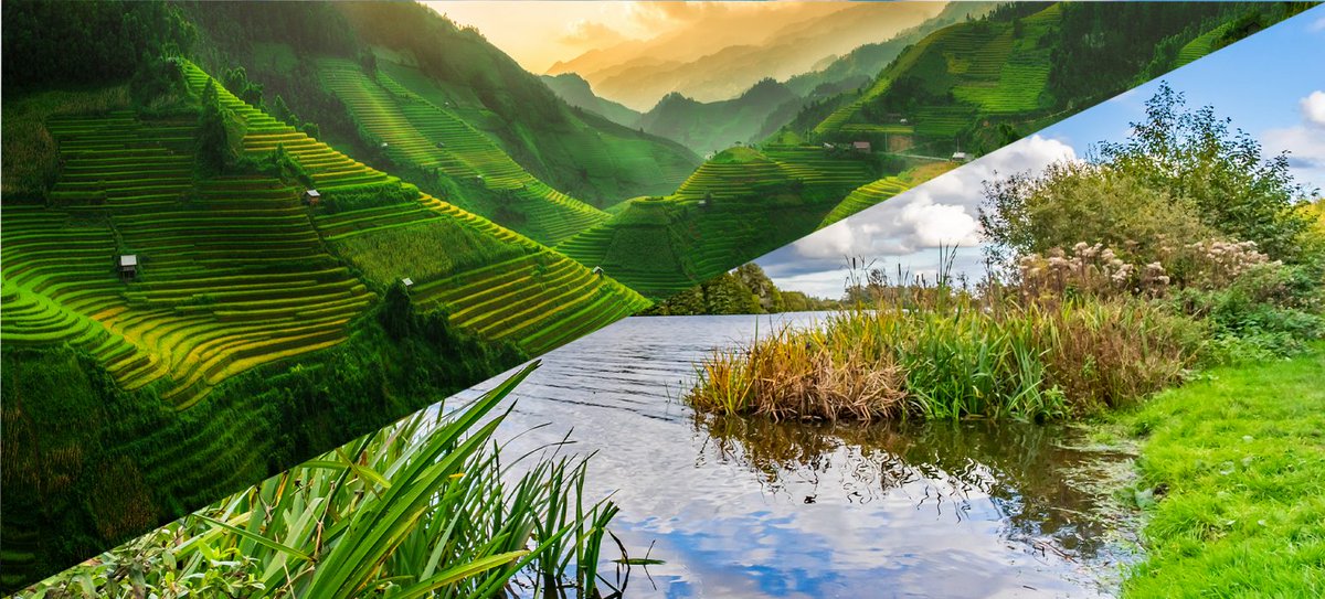 EO_OPEN_SCIENCE's tweet photo. 🟩Invitation to Tender🟩
“#EarthObservation for #SDG Targets and Indicators – Lot 2 on wetlands inventories and rice monitoring”

👇Read all the information at:
https://t.co/f7B0pph73P https://t.co/Q31FzbSaP1