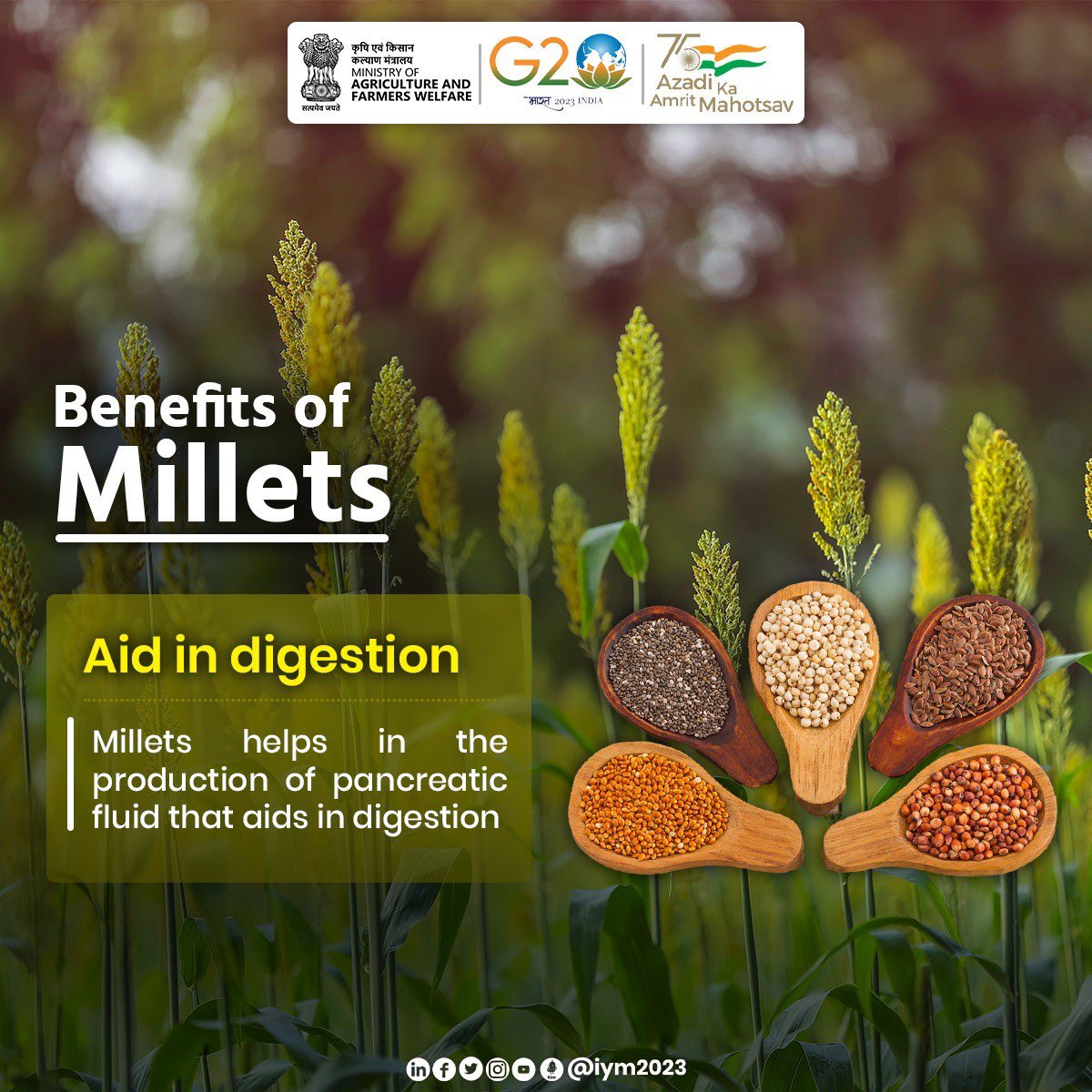 nitin_gadkari's tweet photo. International Year of Millets 2023 is a golden opportunity to increase production and consumption of Millets. Let millets be a part of our daily meal. Let the world know about the health benefits of our very own millet, a rich source of nutrients.
#IYM2023 https://t.co/fFis6g87Ee