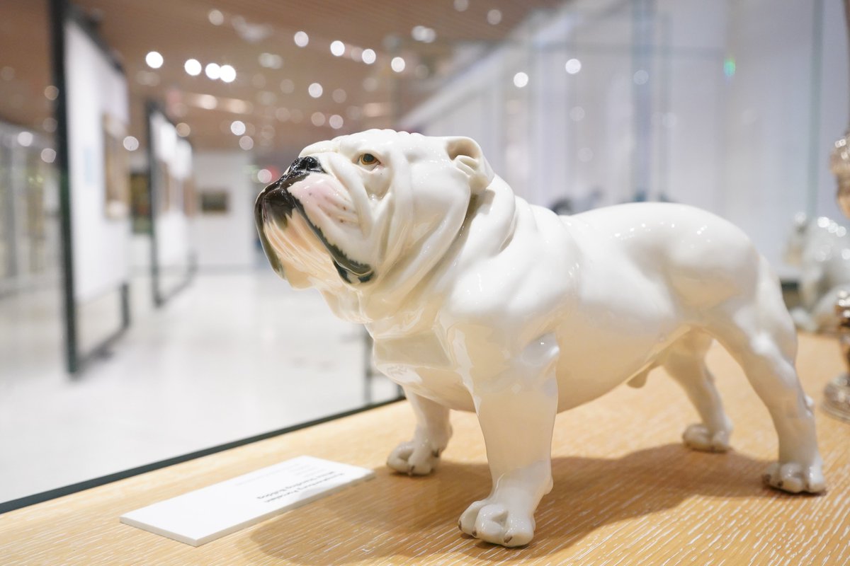 We are excited to congratulate the Newcomb Family, long-time Museum supporters, and avid bulldog art collectors, on their 2022 AKC Breeder of the Year award nomination! They fell in love with the bulldog breed in the 1960s and it’s easy to see why.