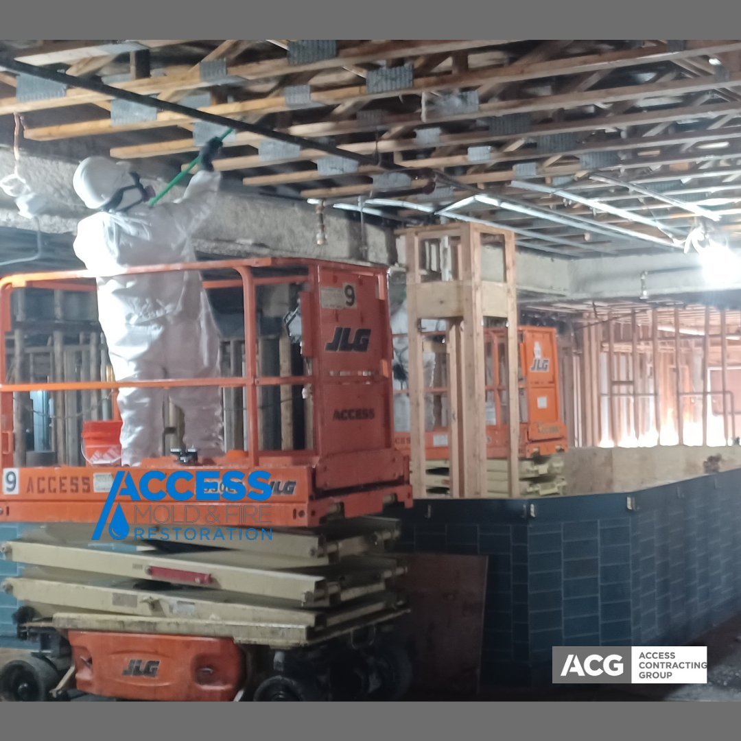accessdemomd's tweet photo. Mold Prevention being sprayed at a jobsite in Rhode Island

#Access #ACG #moldprevention #accessmold #Safety #prevention #BusinessPage https://t.co/VC1GdPxOzV