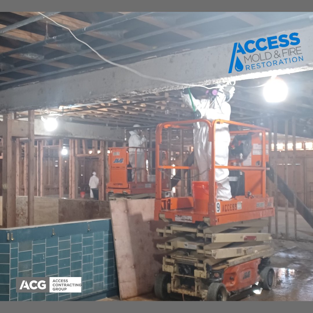 accessdemomd's tweet photo. Mold Prevention being sprayed at a jobsite in Rhode Island

#Access #ACG #moldprevention #accessmold #Safety #prevention #BusinessPage https://t.co/VC1GdPxOzV