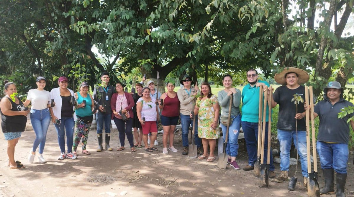 CORMACARENA's tweet photo. Llegamos al sector Nueva Colombia 2, en Villavicencio, a sembrar junto a la comunidad plantas de flor amarillo, ocobo blanco, gualanday, uva caimarona, entre otras, para mantener reverdecido este sector de la capital del Meta.
¡Seguimos trabajando por un #MetaVerde! 🍃 https://t.co/OYu3rLUNc5