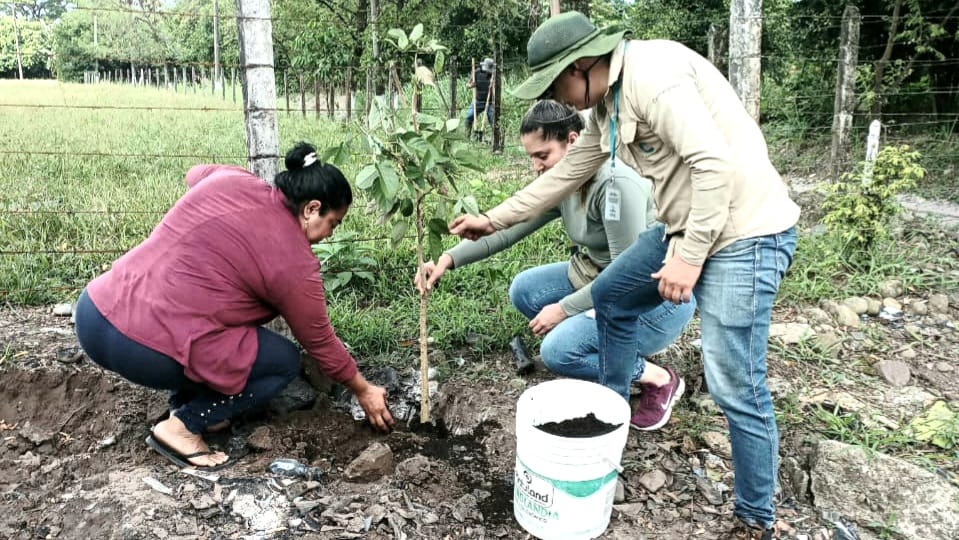 CORMACARENA's tweet photo. Llegamos al sector Nueva Colombia 2, en Villavicencio, a sembrar junto a la comunidad plantas de flor amarillo, ocobo blanco, gualanday, uva caimarona, entre otras, para mantener reverdecido este sector de la capital del Meta.
¡Seguimos trabajando por un #MetaVerde! 🍃 https://t.co/OYu3rLUNc5