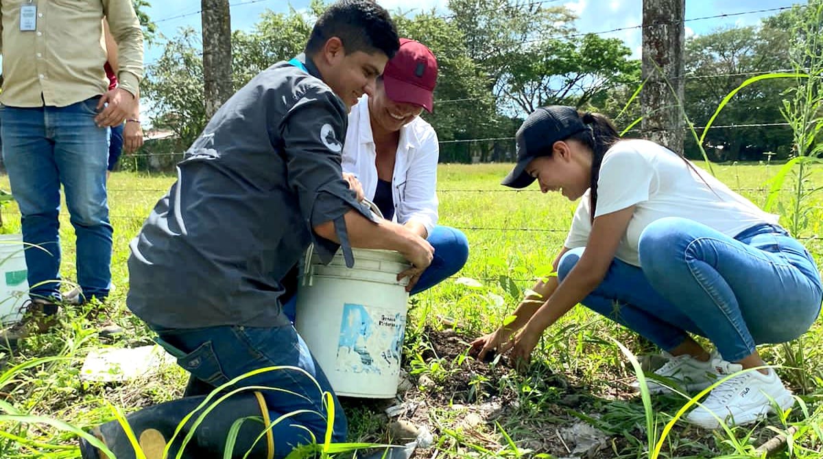CORMACARENA's tweet photo. Llegamos al sector Nueva Colombia 2, en Villavicencio, a sembrar junto a la comunidad plantas de flor amarillo, ocobo blanco, gualanday, uva caimarona, entre otras, para mantener reverdecido este sector de la capital del Meta.
¡Seguimos trabajando por un #MetaVerde! 🍃 https://t.co/OYu3rLUNc5
