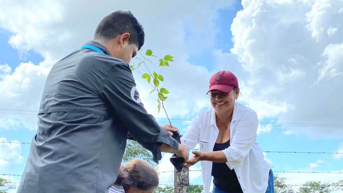 CORMACARENA's tweet photo. Llegamos al sector Nueva Colombia 2, en Villavicencio, a sembrar junto a la comunidad plantas de flor amarillo, ocobo blanco, gualanday, uva caimarona, entre otras, para mantener reverdecido este sector de la capital del Meta.
¡Seguimos trabajando por un #MetaVerde! 🍃 https://t.co/OYu3rLUNc5