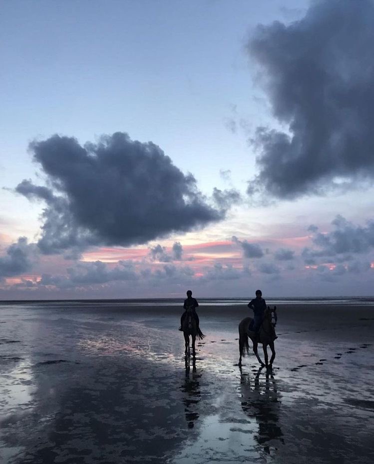 Butterflless's tweet image. 