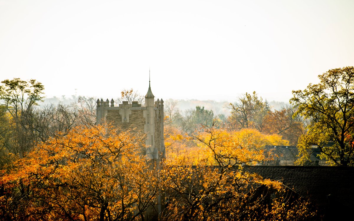 It's almost the end of the semester! You got this 💪