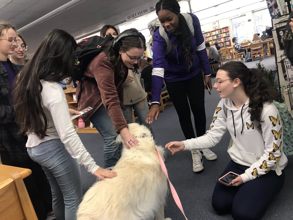 TherapyDaisy's tweet photo. De-stress December @HickmanLMC &amp; the preschool was awesome! My handler gave out about 50 good luck on finals bookmarks &amp; I greeted close to 100 kids. At the preschool  I had at least 10 kids all giving me some love at the same time &amp; I showed them some tricks before I left! https://t.co/G02H8bmU9e