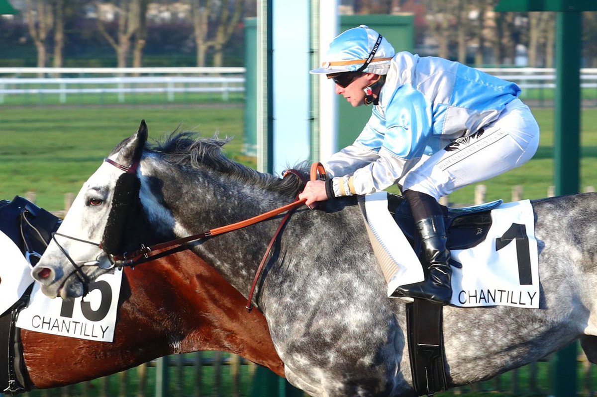 pasquito60's tweet photo. [9️⃣1️⃣🥇]  
 📍@fgchantilly 
🐎 BROUILLARD 
👤 JM. Béguigné
🎩 Sparkling Star 
Prix de la pelouse aux Yearlings - Hand.- 1600m - PSF
😁😁😁
Merci à @SandraBiloe, notre partenaire, pour son soutien💎, ainsi qu’à @eqwinapp. 
#galop #winner 🏆 #jockey #passionjob ❤️ 
📸 Scoopdyga https://t.co/cut4PK2qb6