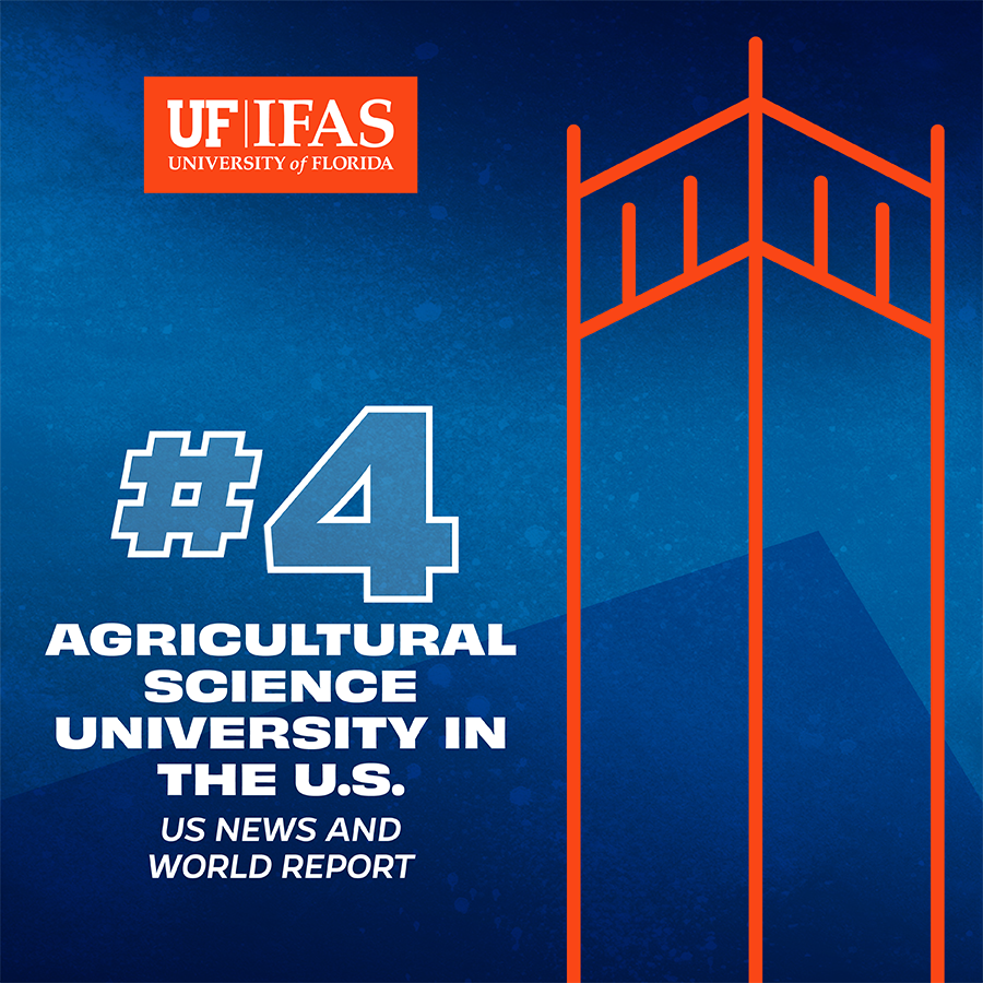 UF_IFAS's tweet photo. Have you heard the news @UFCALS alumni? @UF was ranked the 4th best #AgriculturalScience university in the nation 🐊🚜 https://t.co/PMaBcPxkdT https://t.co/BghmYSnJFz