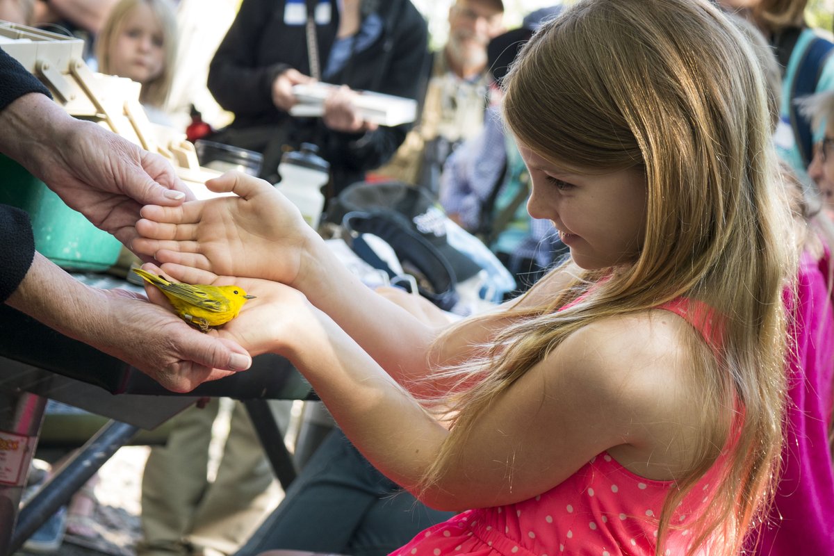 Denver Audubon tweet media