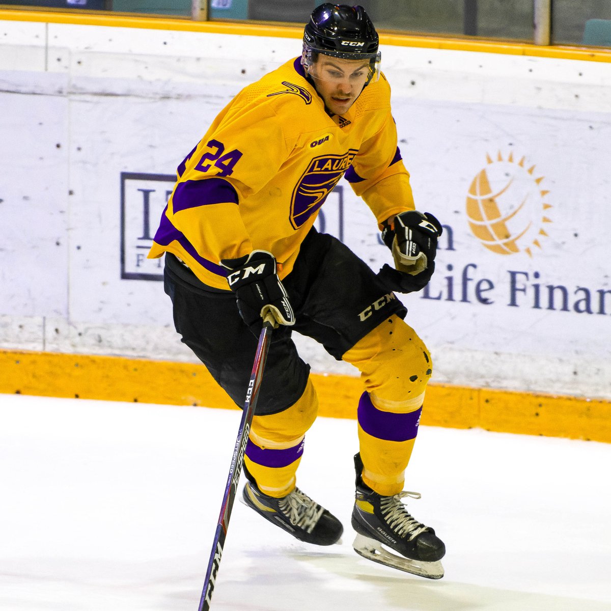 Laurier Golden Hawks (@WLUAthletics) on Twitter photo 2022-12-06 16:24:45 The final 2β£ of '22! Our @wlubookstore Athletes of the Week. π π₯
Acadia Carlson had back-to-back shutouts and made a career-high 38 saves at Western. π Steven MacLean was a defensive force, averaging over 24 minutes of ice time in a weekend split. π° bit.ly/AOTW-Dec5 The final 2β£ of '22! Our @wlubookstore Athletes of the Week. π π₯
Acadia Carlson had back-to-back shutouts and made a career-high 38 saves at Western. π Steven MacLean was a defensive force, averaging over 24 minutes of ice time in a weekend split. π° bit.ly/AOTW-Dec5