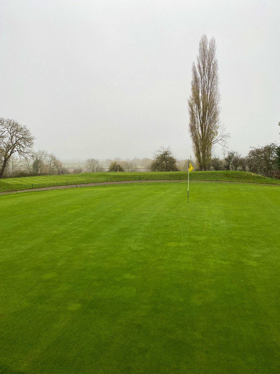 mattwhiting31's tweet photo. Paused the winter projects to punch some holes across the greens and tees. Everyone’s doing it, so it must be right 😂. Very pleased with the surfaces for this time of year 💪🏼⛳️ #greenkeeping https://t.co/fKNMyuEZYh