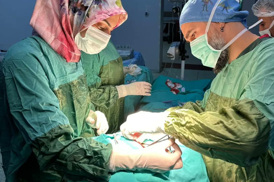 mardineah's tweet photo. Hastanemizde Tiroid Ca tanılı hasta başarılı bir şekilde "bilateral total tiroidektomi ile beraber santral diseksiyon ve sağ modifiye Radikal boyun diseksiyonu ameliyatı" olup taburculuğu yapılmıştır. Bu tür Ameliyatlar Hastanemiz bünyesinde yapılmaktadır. @saglikbakanligi https://t.co/8b3QuUfEqN
