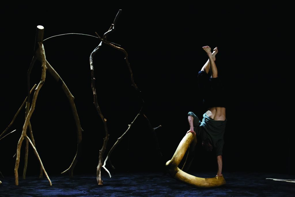 Il est un violoniste hors pair, eux sont danseurs, voltigeurs ou comédiens. L'incontournable Patrice Fontanarosa en concert et la géniale Cie Lapsus avec le spectacle "Le chant du vertige" envoûteront respectivement le Théâtre Municipal (20h30) et l'Alb'Oru (18h) demain soir !