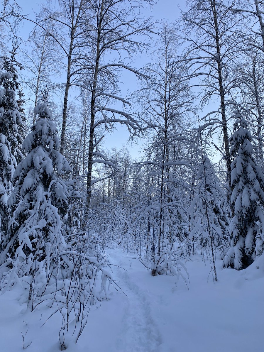 eveliinel's tweet photo. Happy Independence Fay Finland! 105 years. 6.12.1917 💙🤍 #Suomi105 #Finland #finland105 #FinlandIndependenceDay #IndependenceDay https://t.co/FjXNzWMH9b