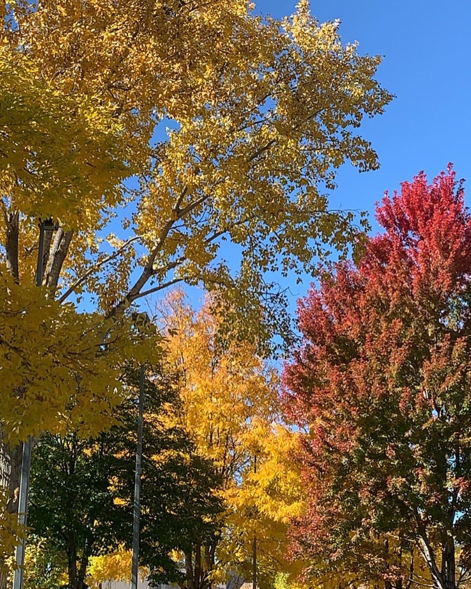 UGCbyallie's tweet photo. Happy Tuesday🖐🏼 motivated and ready to work this morning, I haven’t felt this in the past week -so I’m excited. 
Is today a UGC day or rest day for you? 

#ugc #happytuesday #goodbyefall https://t.co/kEByhTBAj3