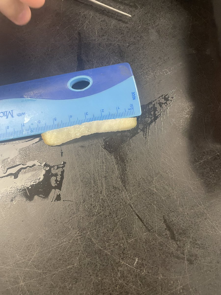 missjohnstone16's tweet photo. Grade 8s are doing a carousel to observe osmosis in dialysis tubing, a potato in water/salt water, celery in water, and flowers in food dye. @HolyTrinityOCSB #ocsbScience https://t.co/JSkPPIaLkq