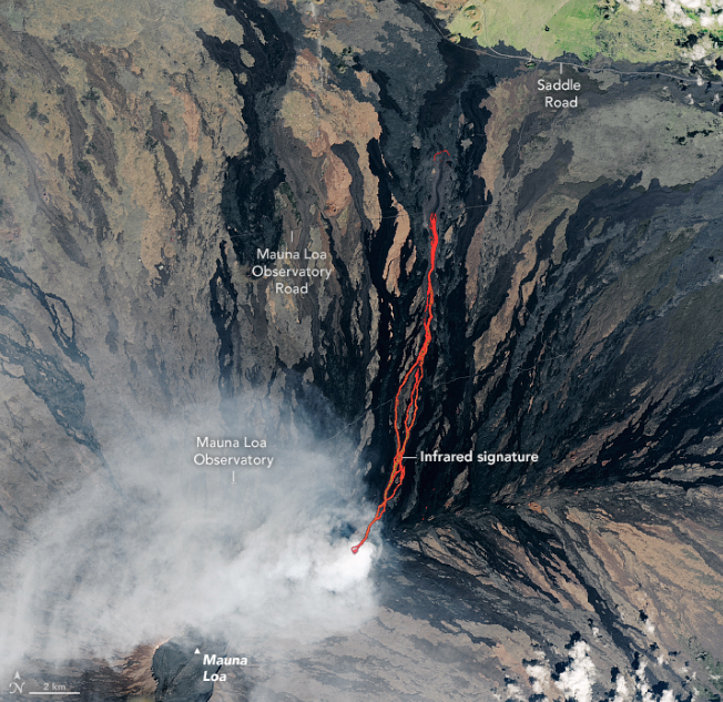 NASAEarth's tweet photo. The world’s largest active volcano, Mauna Loa, is still erupting.

The @NASA/@USGS Landsat 9 satellite captured this image on Dec. 2. Infrared data from #Landsat’s OLI-2, which detects heat,  is overlaid in red, indicating the presence of lava. 

🌋: https://t.co/pQhBGs5viK https://t.co/8RSBqLNbcb