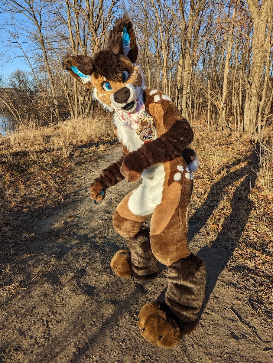 Tass! 🇺🇦 // 鹿猫 tweet media