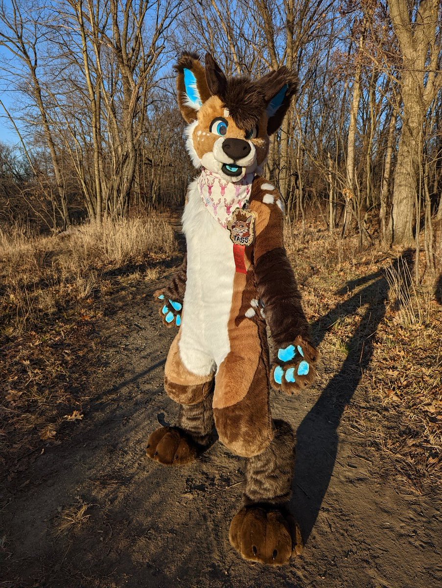 Tass! 🇺🇦 // 鹿猫 tweet media