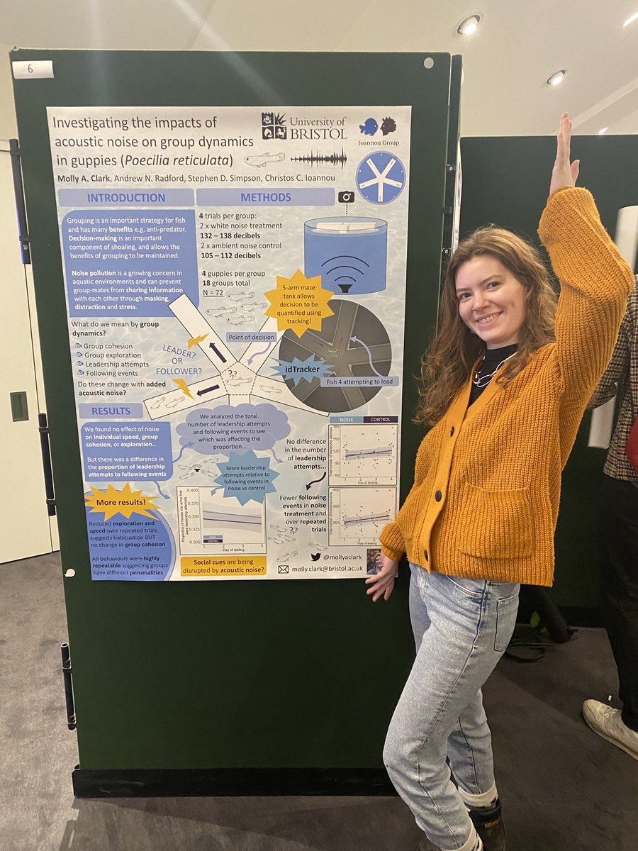 Molly Clark (@mollyaclark) on Twitter photo Wonderful day of talks so far at
#asab22 ! Be sure to find my poster on group behaviour, decision making and noise in #guppies this afternoon at board 6 🐟🎧
<a href="/asab_conference/">Defunct ASAB Conference</a> @asab_tweets Wonderful day of talks so far at
#asab22 ! Be sure to find my poster on group behaviour, decision making and noise in #guppies this afternoon at board 6 🐟🎧
<a href="/asab_conference/">Defunct ASAB Conference</a> @asab_tweets