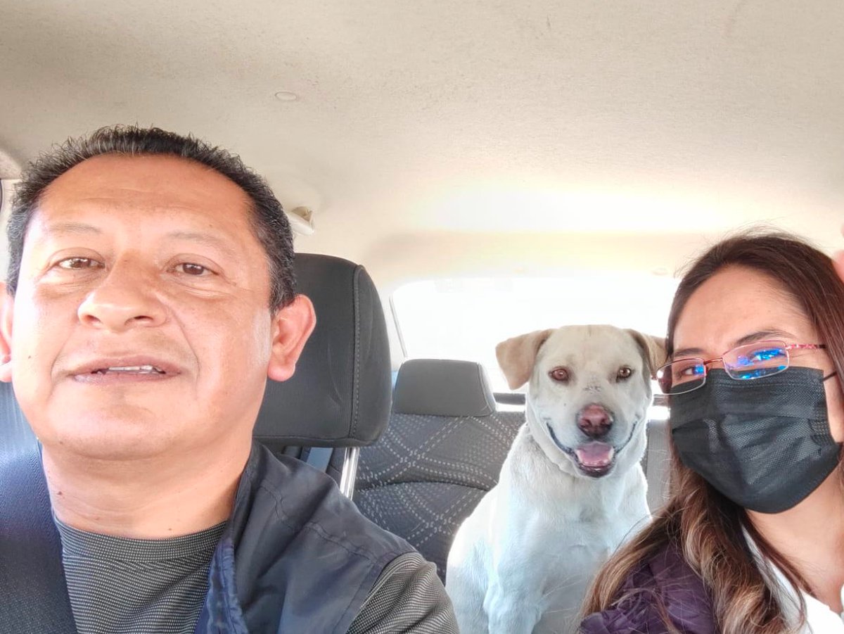 #HazloViral ❤️🐶

Encontramos a tu perro en Avenida Juarez y 29 sur,
sabemos que lo estás buscando, el equipo de #NMás lo resguarda, acude a <a href="/TelevisaPuebla/">Televisa Puebla</a> Zacatlán 42 colonia La Paz.

Da #RT