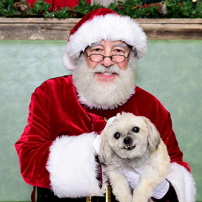 Regional Group tweet media