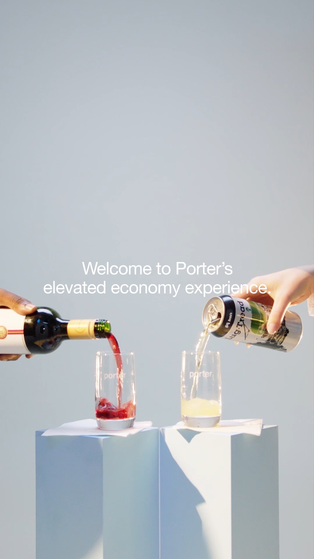 PORTER AIRLINES VALUES visual data 5
